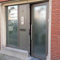 Porte d'entree PVC avec panneaux, verre (3)